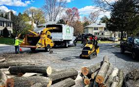 Seasonal Cleanup (Spring/Fall) in Cleveland Heights, OH