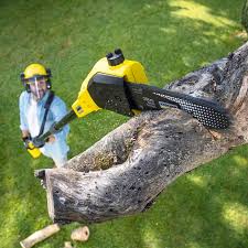 Best Grass Overseeding  in Cleveland Heights, OH